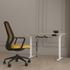 Electric Single Motor Sit Stand Table Frame 