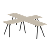ASD-4X