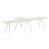 ASD-2T